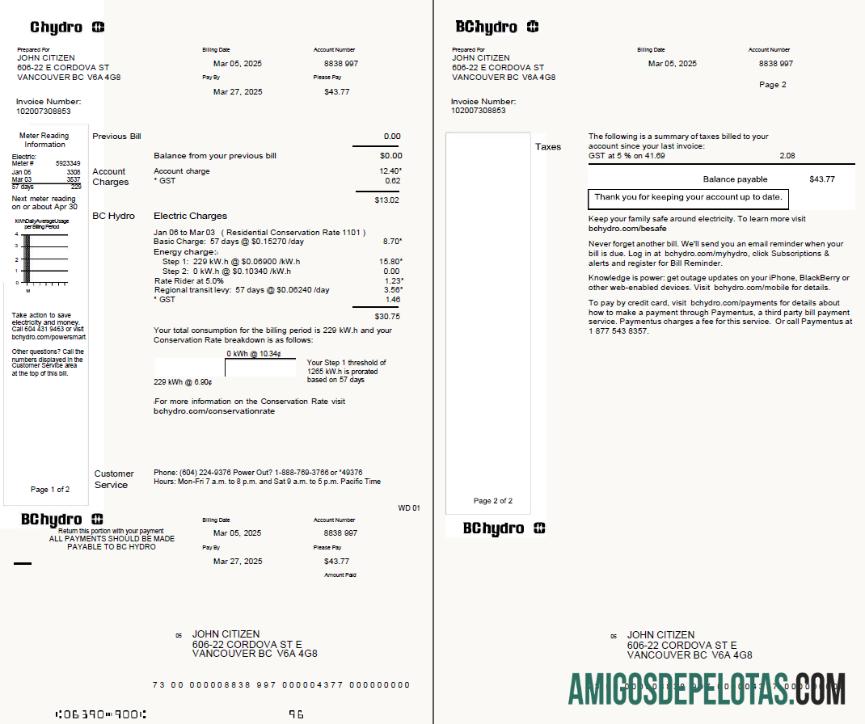 Em branco modelo de conta de serviços públicos hidrelétricos do Canadá em formato Word e PDF, 2 páginas